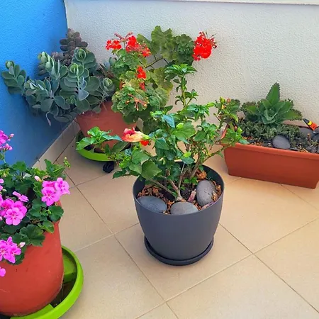 Apartmán Tenerife Sud Golf Appartament *
